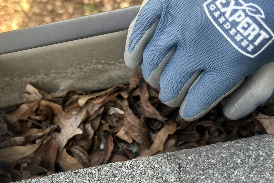 Gutter Cleaning Newell