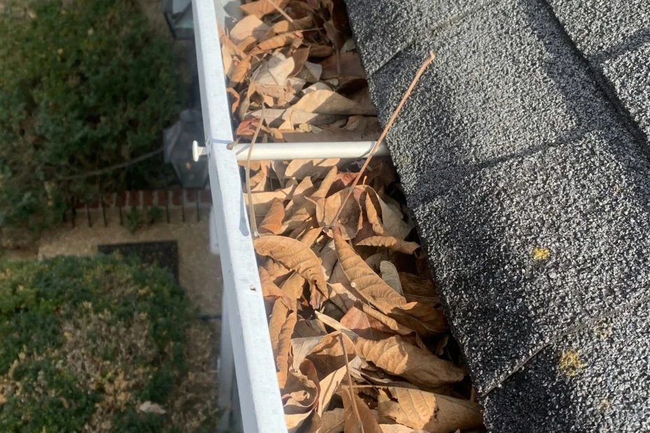 Gutter Cleaning Newell